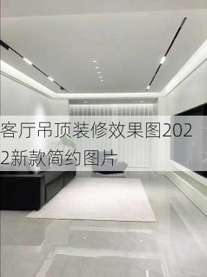 客厅吊顶装修效果图2022新款简约图片